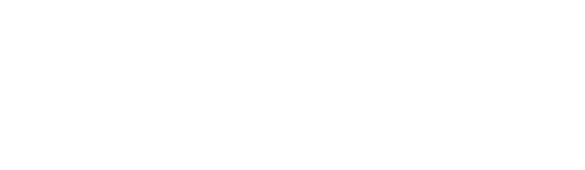 Flutter